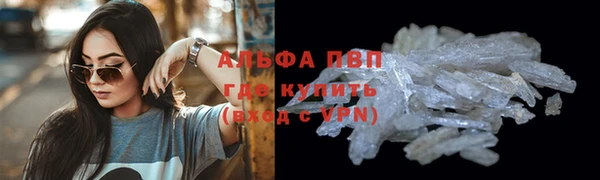 ПСИЛОЦИБИНОВЫЕ ГРИБЫ Коряжма