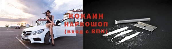 хмурый Корсаков
