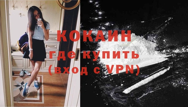 молекула духа Костерёво